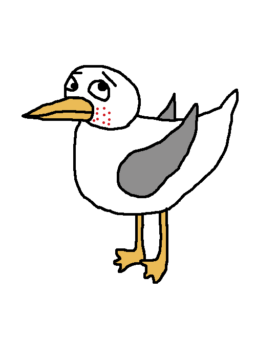 Spotty Delivery Gull